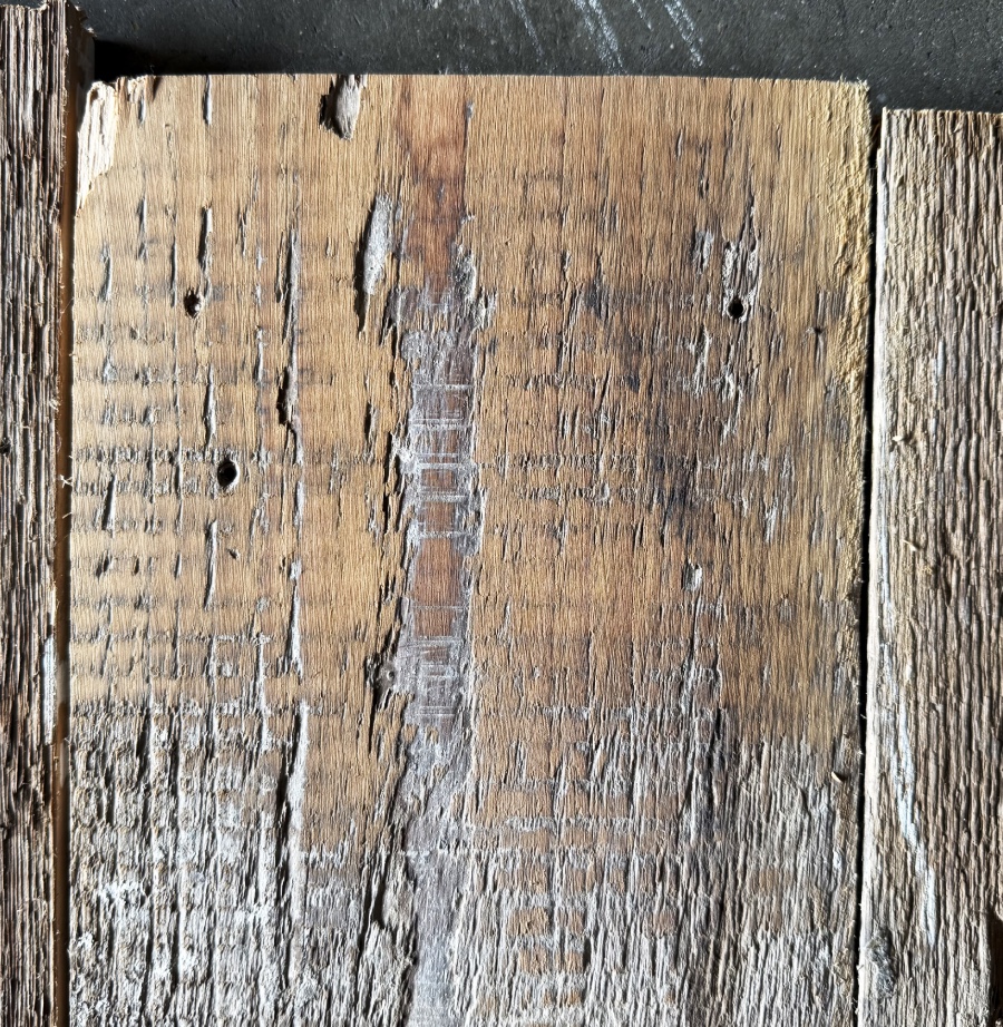 Reclaimed 160mm floorboard (Lightly sanded section)